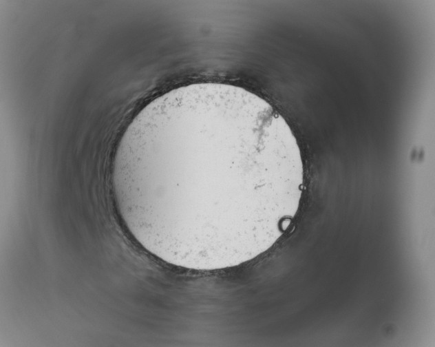 X0000113080769200909111002