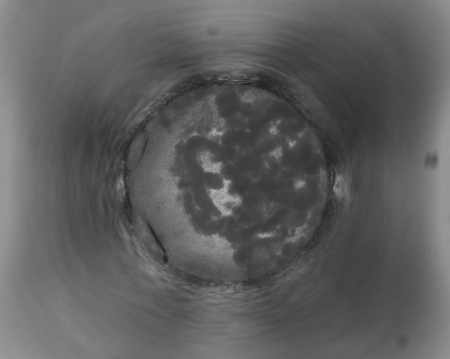 X0000113080771200909111002