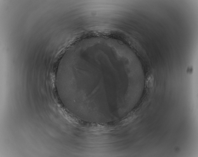 X0000113080772200909111002