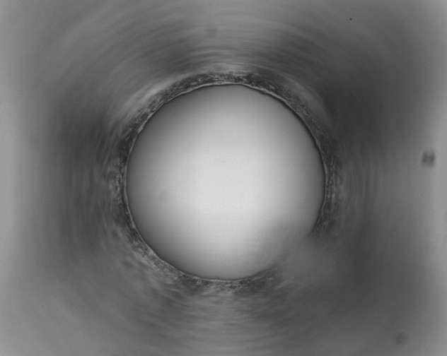 X0000113080773200909111002