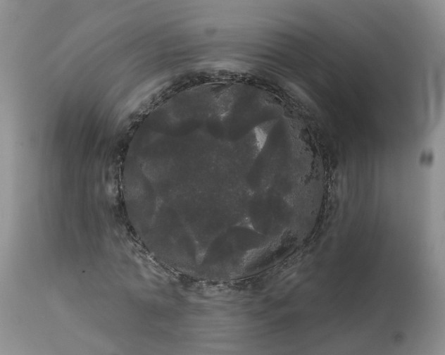 X0000113080774200909111002