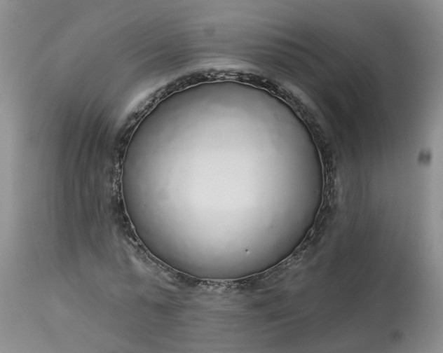 X0000113080775200909111002