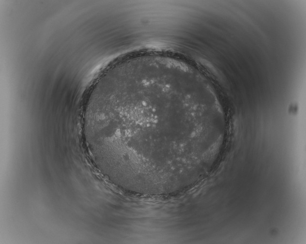 X0000113080776200909111002