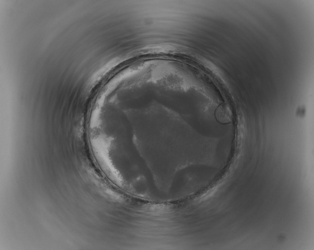 X0000113080778200909111002