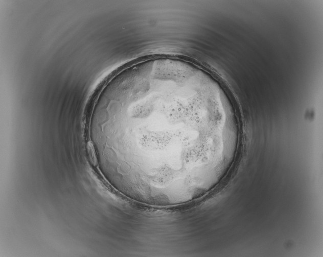 X0000113080779200909111002