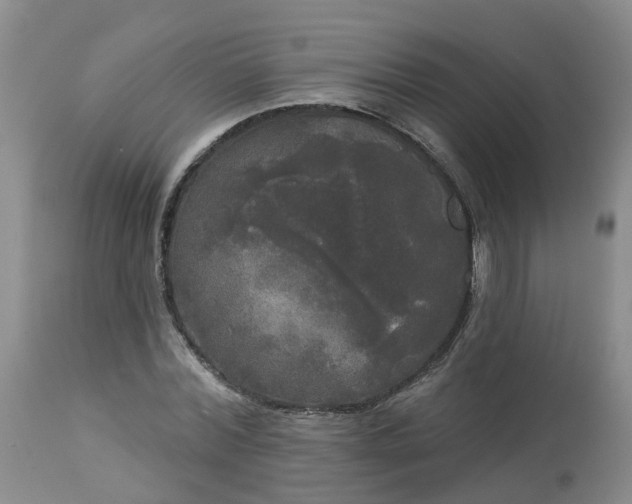 X0000113080780200909111002