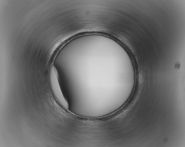 X0000113080781200909111002