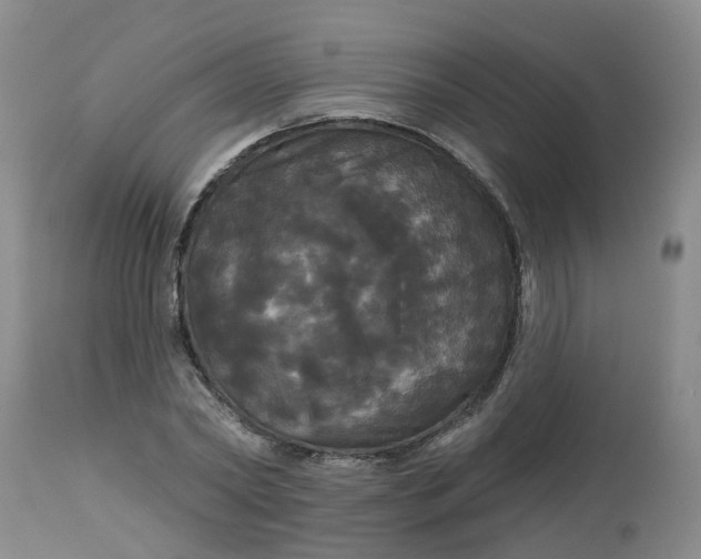 X0000113080782200909111002