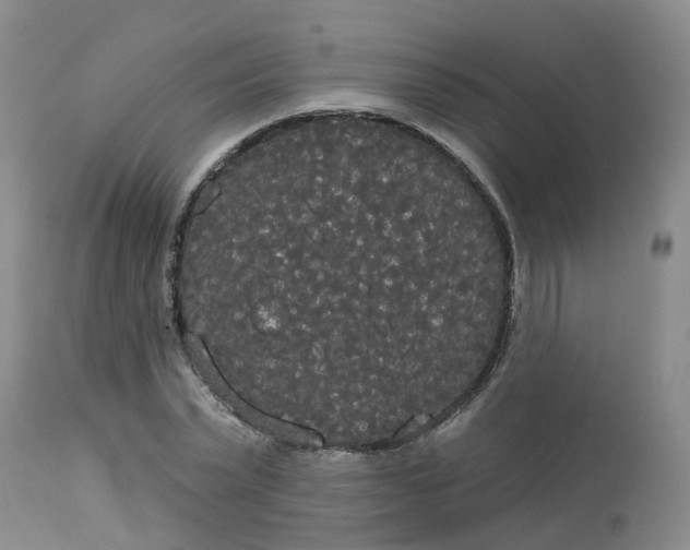 X0000113080783200909111002