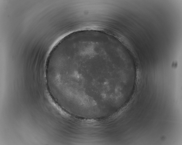 X0000113080784200909111002