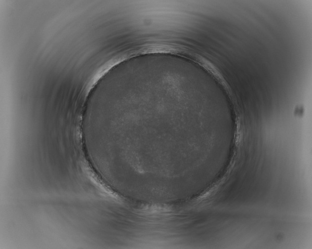 X0000113080786200909111002