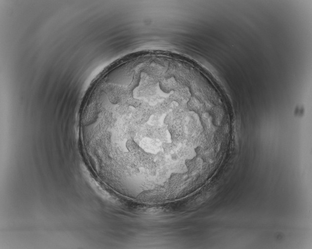 X0000113080791200909111002