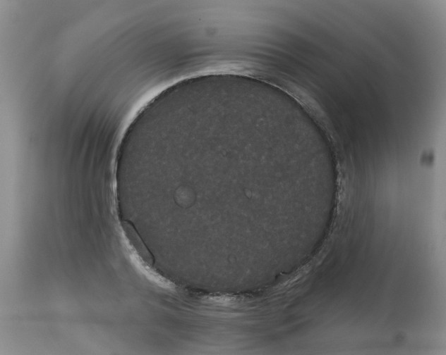 X0000113080792200909111002