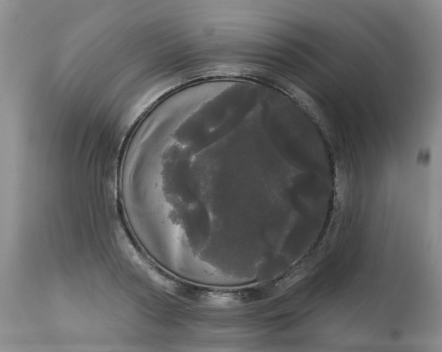 X0000113080794200909111002