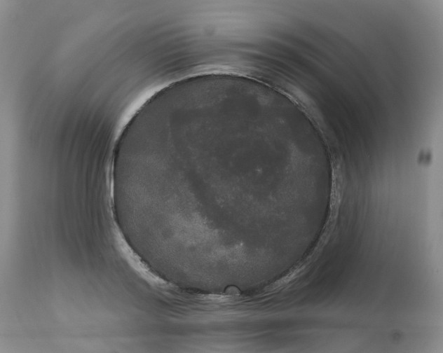 X0000113080796200909111002