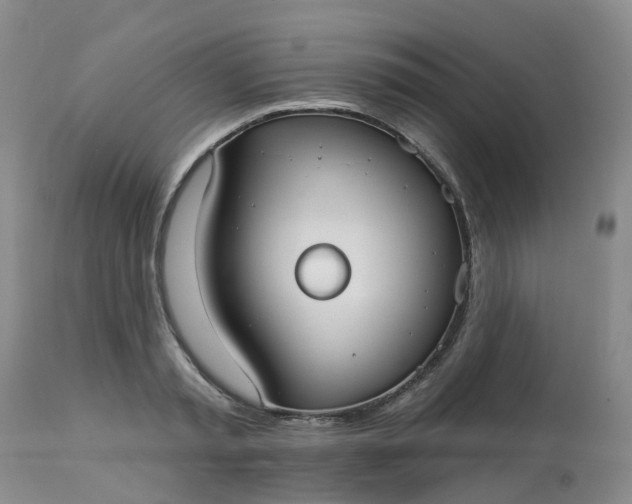 X0000113080797200909111002