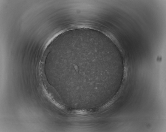 X0000113080798200909111002