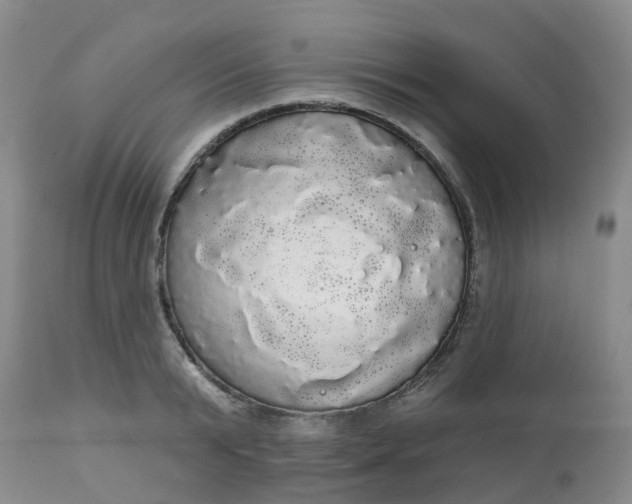 X0000113080799200909111002