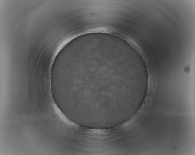 X0000113080800200909111002