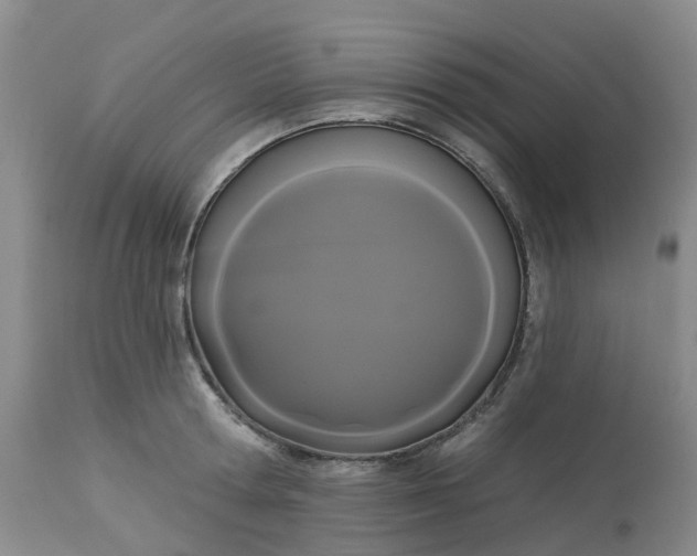 X0000113080802200909111002