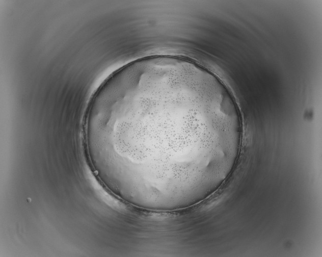 X0000113080803200909111002