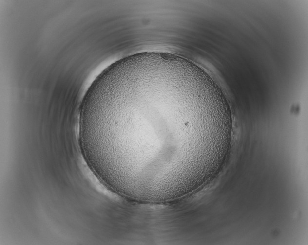 X0000113080804200909111002