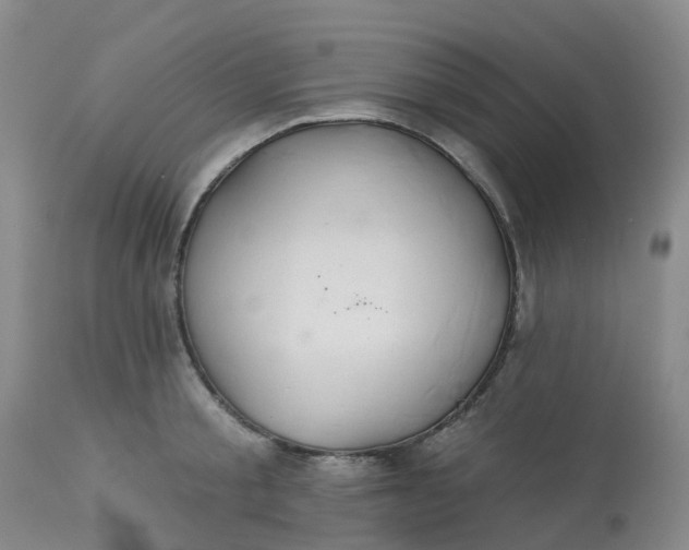 X0000113080805200909111002