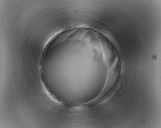 X0000113080806200909111002