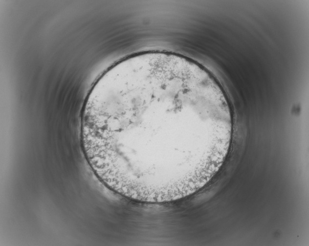 X0000113080807200909111002