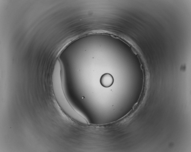 X0000113080809200909111002