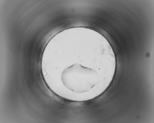 X0000113080810200909111002