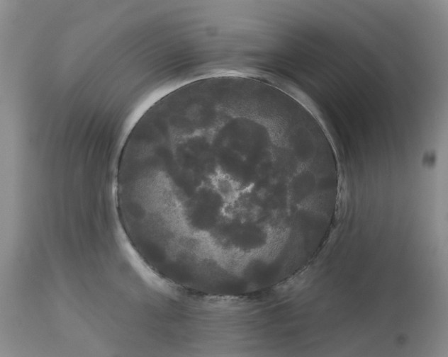 X0000113080811200909111002