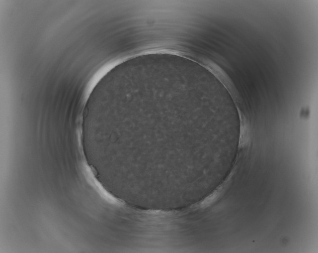 X0000113080812200909111002