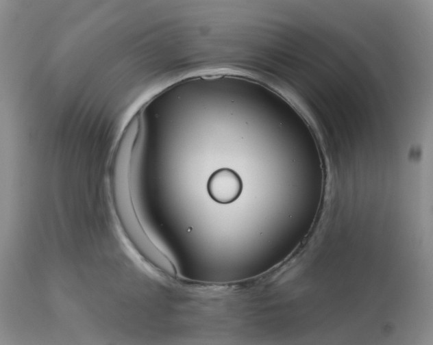 X0000113080813200909111002