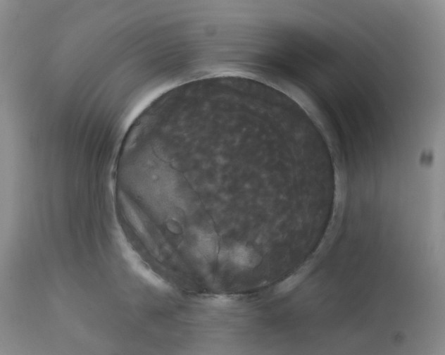 X0000113080814200909111002