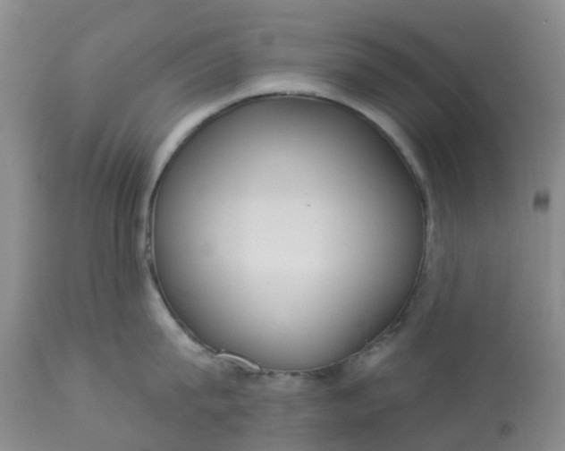 X0000113080815200909111002