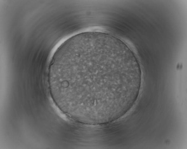 X0000113080816200909111002