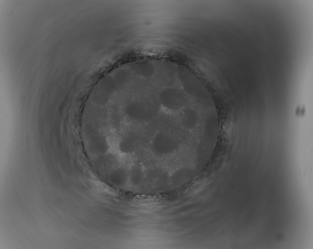 X0000113080817200909111001