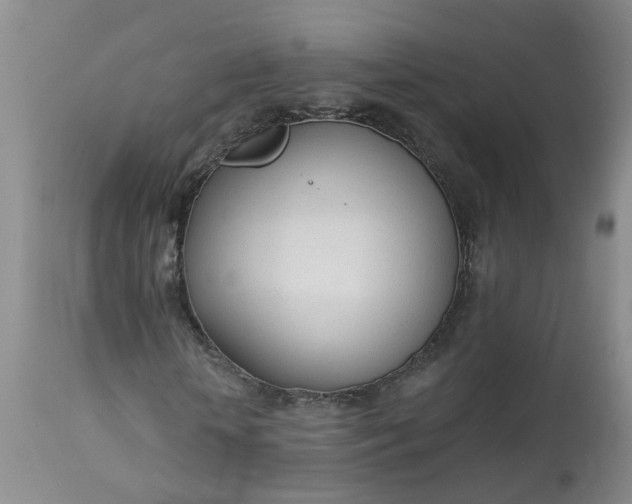 X0000113080818200909111001