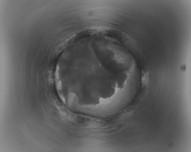 X0000113080819200909111001