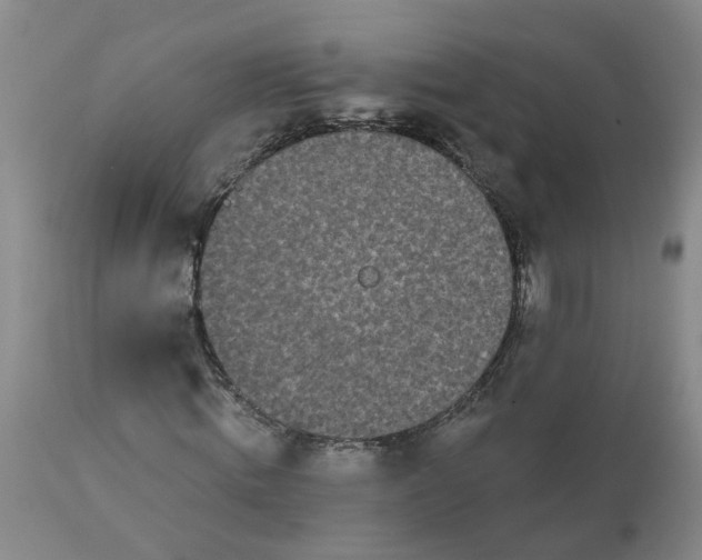 X0000113080820200909111001