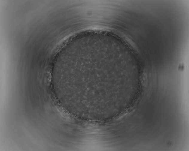 X0000113080821200909111001