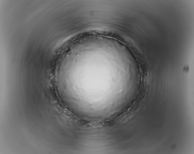 X0000113080822200909111001