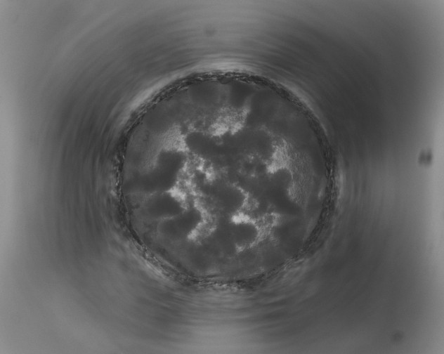 X0000113080823200909111001