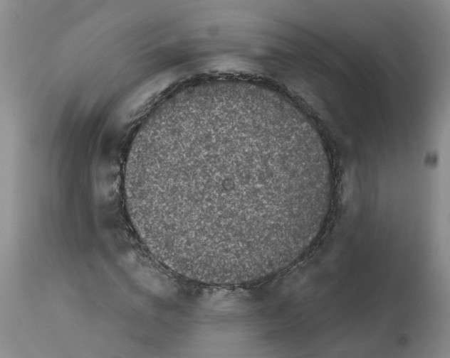 X0000113080824200909111001