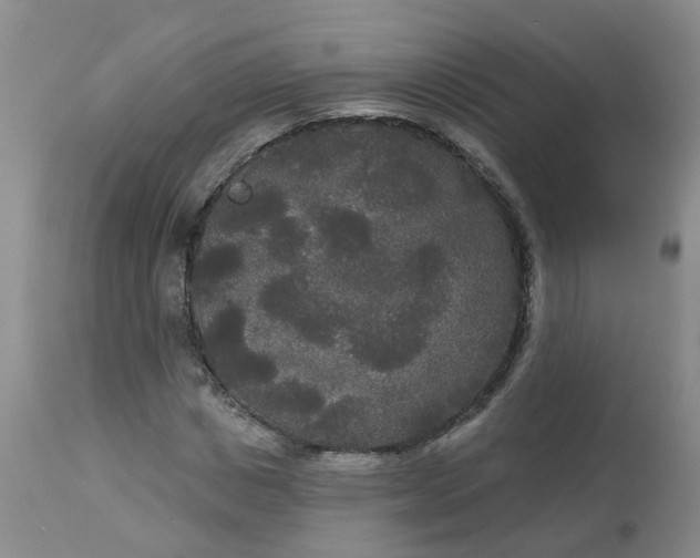 X0000113080825200909111001