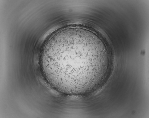 X0000113080826200909111001