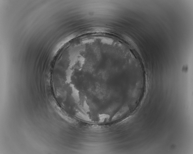 X0000113080827200909111001