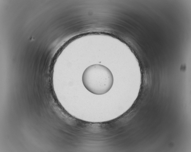 X0000113080828200909111001