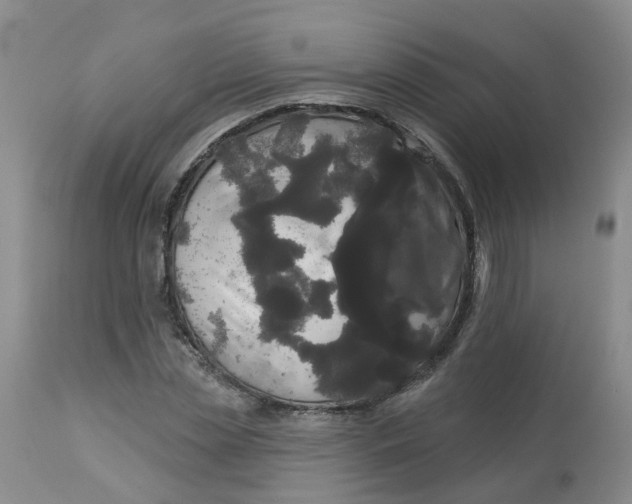 X0000113080829200909111001